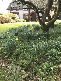 Littlewood B&B - Image 2