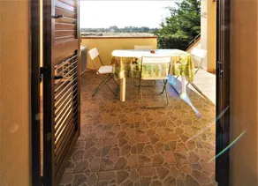 I Papaveri - Image 3