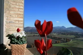 Albergo del Teatro - Image 4