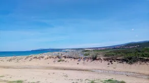 Green House-Woods And Beaches - Image 2