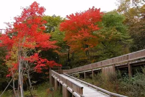 Kyukamura Tsumagoi-Kazawa - Image 4