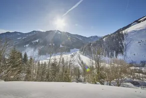 Kunstler Chalet - Image 3