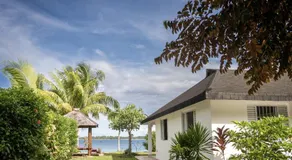 PARADISE - Image 3
