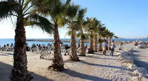 Apt Prado Plage Vélodrome - Image 5