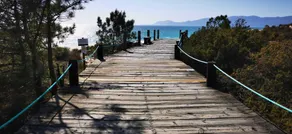 Troia Beach Villa - Image 5