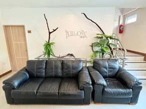 Willow Pillow - Image 5
