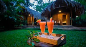 Private Organic House - Image 3