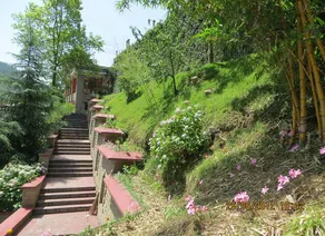 Visco Resorts - Image 3