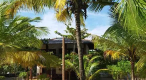 Tropical Garden - Image 3