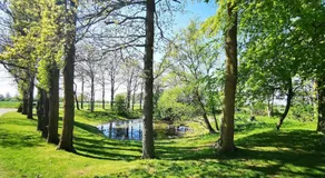 Einladende Ferienwohnung auf Fehmarn - Image 5