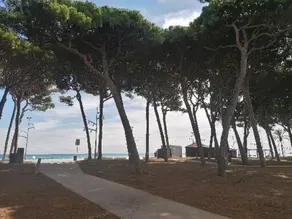 Apartamento 1a línea playa La Pineda y 5 min Port Aventura - Image 3