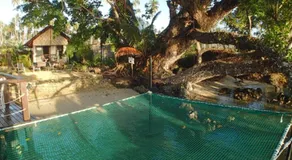 Turtle Bay Beach House - Image 5
