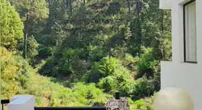 Nainital Cottege - Image 4