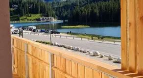 Chalet Alpenrose - Image 4