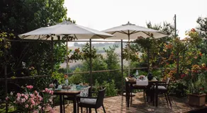 Casale Il Girasole - Image 5