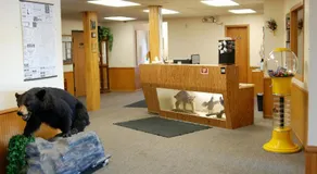 Luck Country Inn - Image 3