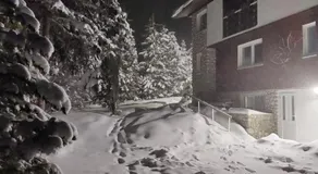 Dušan - Image 4