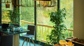 OM Resort - Image 5