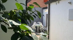 Alloggi Al Giardino & La Suite - Image 5