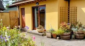 The Veterinary @ Kildare Village - Image 4