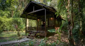 Our Jungle House - Image 4