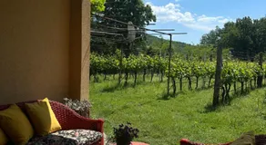 Apartman DAR Bošković - Image 4