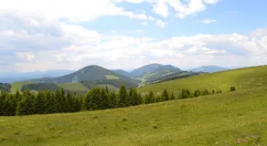 Pension Schweiger - Image 2