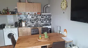 Cactus house - Image 4