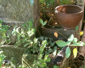 Goshima Ryokan - Image 4