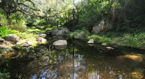 Alcheringa Cottage - Incredibile posizione con vista! - Image 1