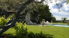 Le Coing des Vignes - Image 4