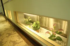 Guangdong Hotel (Jiangmen Xinhui Xinghui Plaza Xiangshan Park) - Image 5