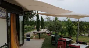 Il Podere della piazza - Image 3
