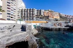 Tabaiba- Portugal in Tenerife - Image 3