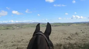 Kings Farm - Image 4