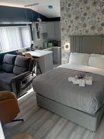 Tiernans luxury studio apt - Image 2