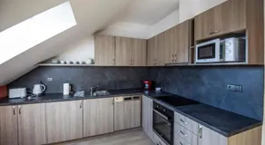 Apartmány pod Jeřábem, Šanov 67, Červená Voda - Image 5