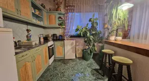 Apartment with BBQ in Balatonlelle 55116 - Image 5