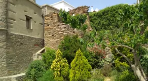 Cyclades Olive Museum's Guest House - Image 4