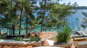 Pine Tree Apartment Zanetic - Image 3