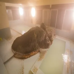 Nakanosawa Onsen Bandai Nishimuraya - Image 5