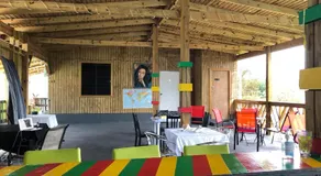 Vieques Good Vibe Guest House - Image 5