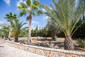 CAN PALLETA - Image 5