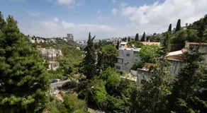 Eshkol Housing Carmel Center: Forest retreat - Image 5