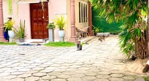 Villa Two Residence - Image 4