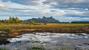 Pause Pranburi - Image 5