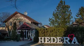 Hedera - Club Prenoćiste - Hajdukovo - Image 4