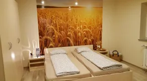 Rosa Bed and Breakfast - Image 2