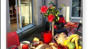 Les Agapanthes - Image 3