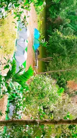 Abbidhare Breeze - Image 3